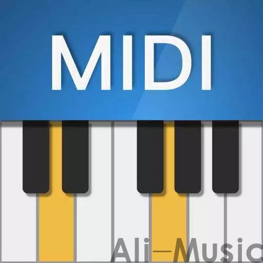 midi.jpeg
